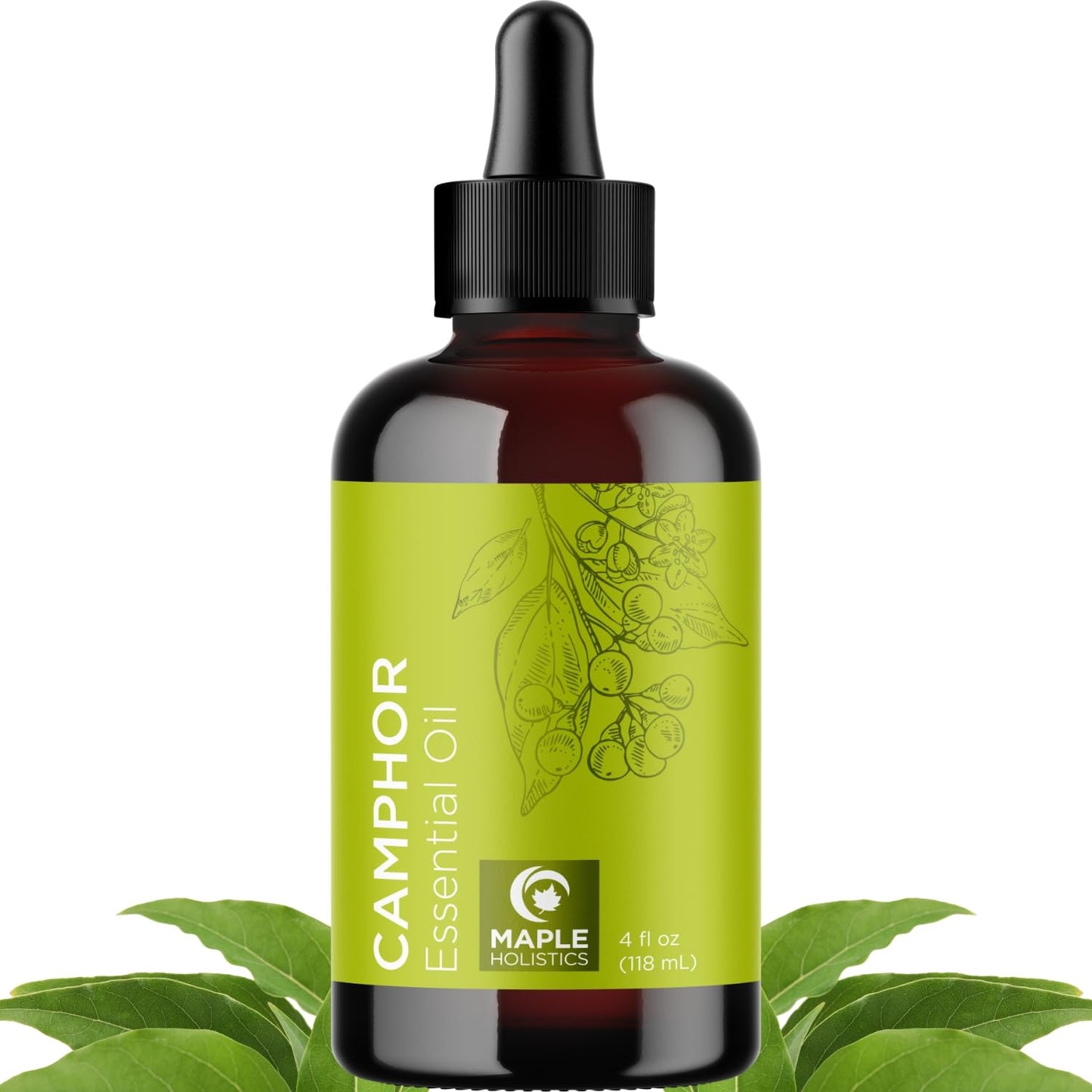 Pure Camphor Essential Oil 4 oz – 100% Pure for Aromatherapy & DIY