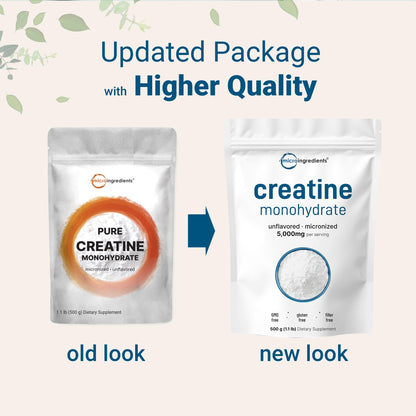 Instant Creatine Monohydrate Powder 500g – 5g/Serving, Unflavored, Keto & Vegan