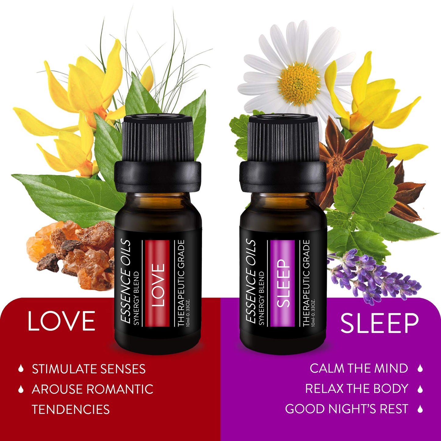 Pure Daily Care Aromatherapy Top 10 Essential Oil Synergy Blend Set – Therapeutic Grade – 10 x 10ml