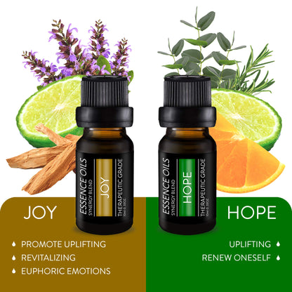 Pure Daily Care Aromatherapy Top 10 Essential Oil Synergy Blend Set – Therapeutic Grade – 10 x 10ml