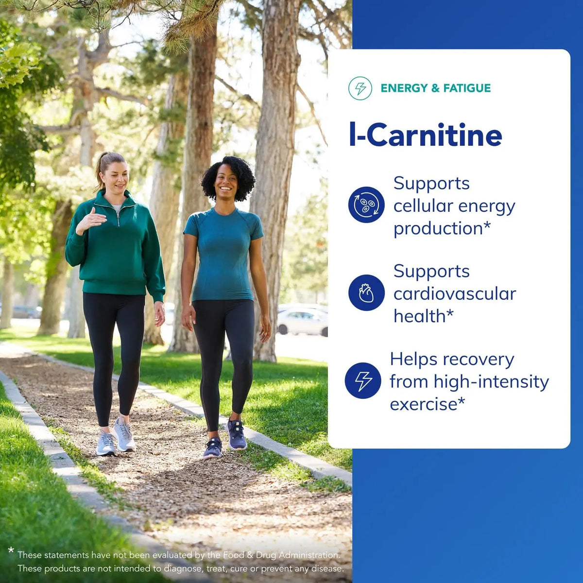 Pure Encapsulations L-Carnitine | Hypoallergenic Cardiovascular & Endurance Support | 60 Capsules BritishVita | Premium UK Vitamins & Wellness Supplements