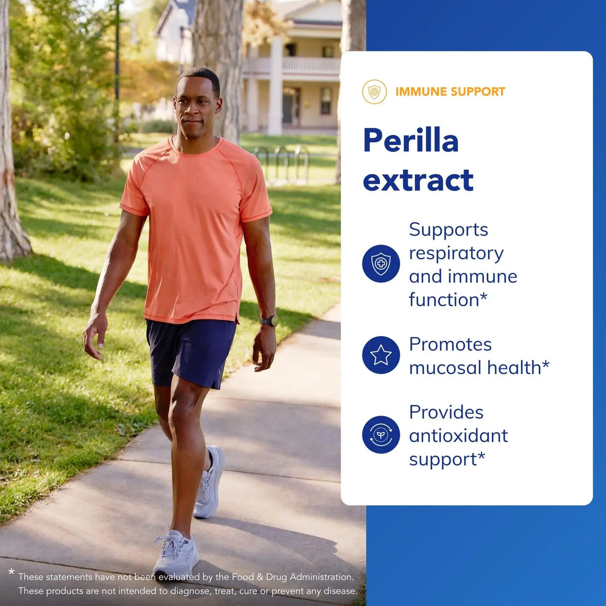Pure Encapsulations Perilla Extract | Support for Mucosal Health & Immune Balance | 90 Capsules BritishVita | Premium UK Vitamins & Wellness Supplements