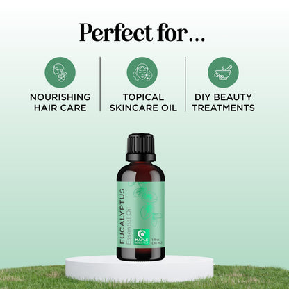 Pure Eucalyptus Essential Oil for Diffusers | Undiluted Eucalyptus Aromatherapy