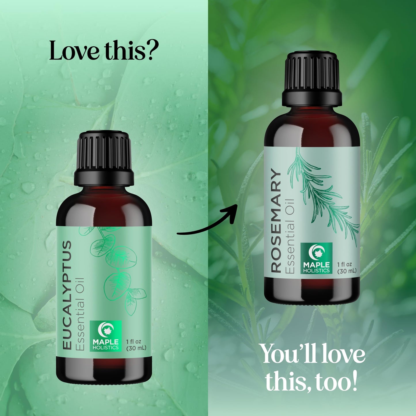 Pure Eucalyptus Essential Oil for Diffusers | Undiluted Eucalyptus Aromatherapy