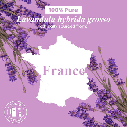 Handcraft Blends Lavender Essential Oil – 4 Fl Oz – 100% Pure & Natural, Premium Grade