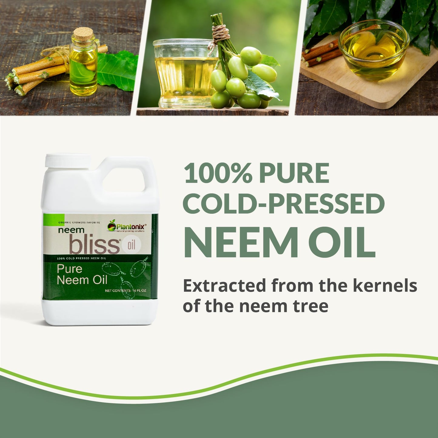 Neem Bliss 16 oz - Pure Cold-Pressed Neem Oil Concentrate | Unrefined