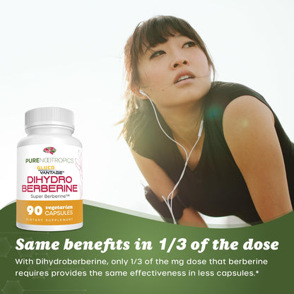Pure Nootropics: Dihydroberberine (GlucoVantage) 100 mg – 90 Capsules | Super Berberine