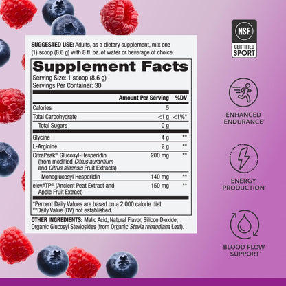Pure Power Endurance Powder – Berry Blast | 9.1 oz / 258 g | 30 Servings | NSF Certified for Sport | Dr. Mercola
