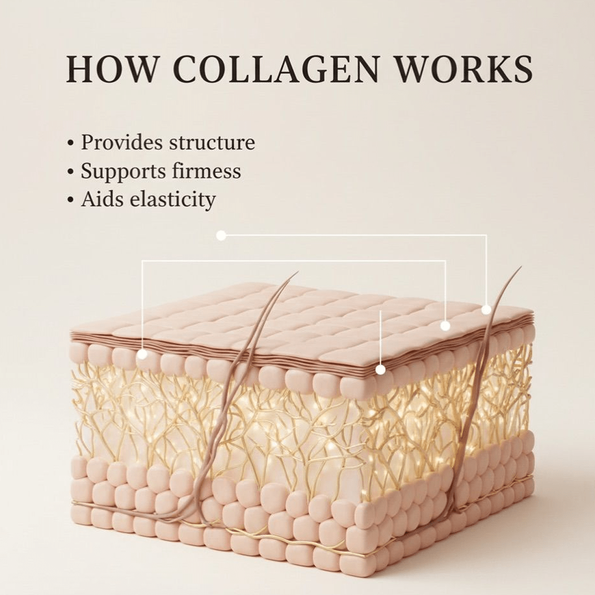 Pure Premium Marine Collagen Hydrolysed Peptides TYPE I - 500g BeYouty Collagen™