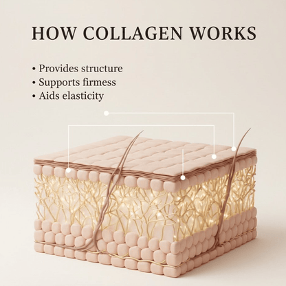 Pure Premium Marine Collagen Hydrolysed Peptides TYPE I - 500g BeYouty Collagen™