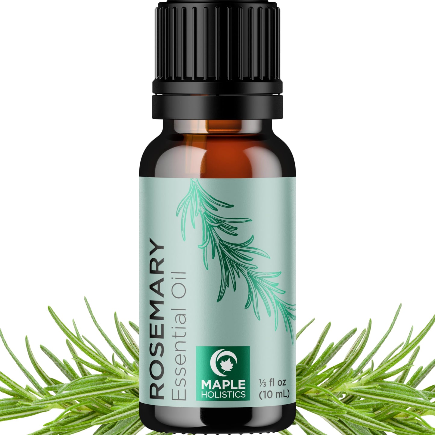 Pure Rosemary Essential Oil for Aromatherapy - Undiluted Rosemary Oil for Hair, Skin & Nails | Maple Holistics