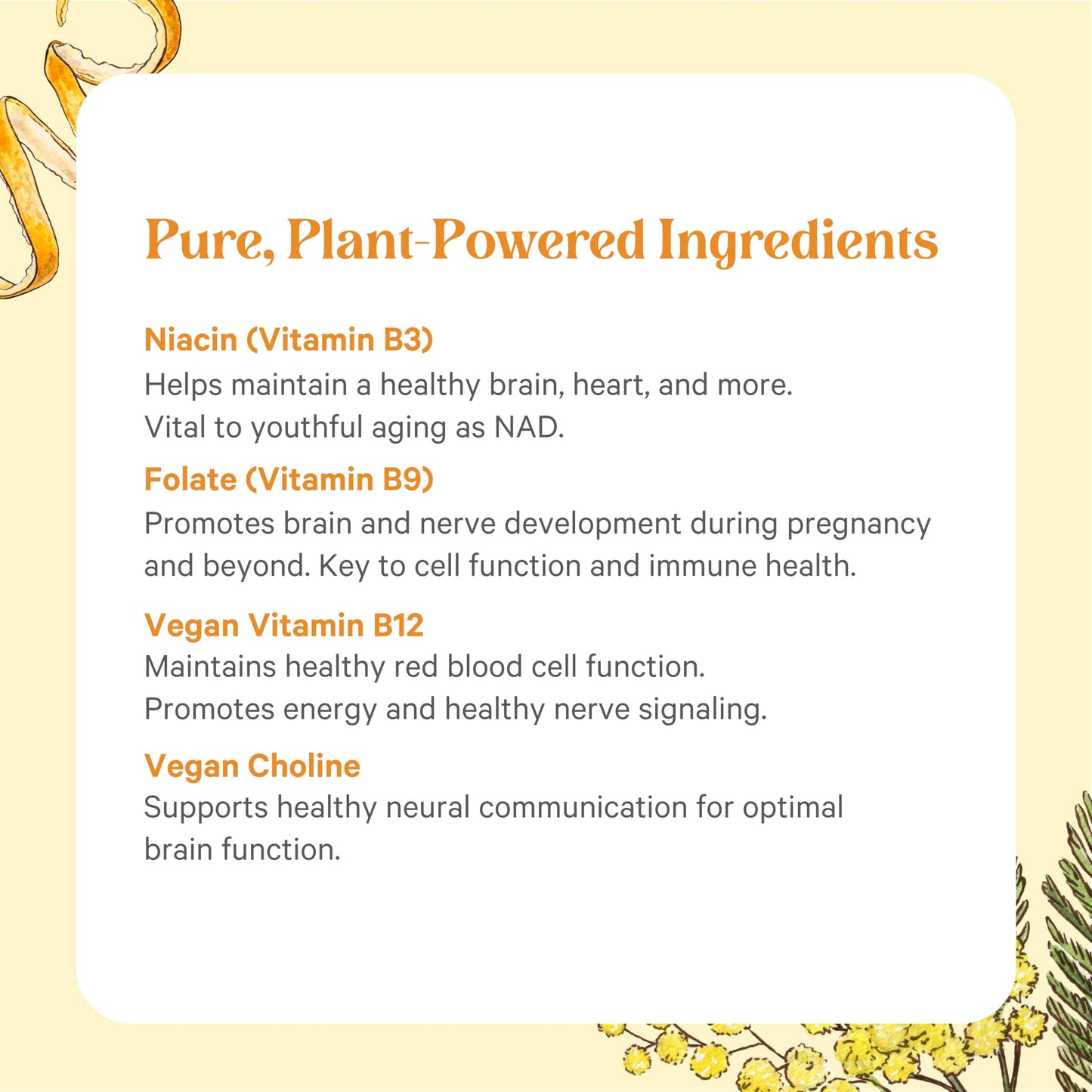 PURE SYNERGY Super B-Complex | Organic Vegan Vitamin B-Complex - 60 Tablets