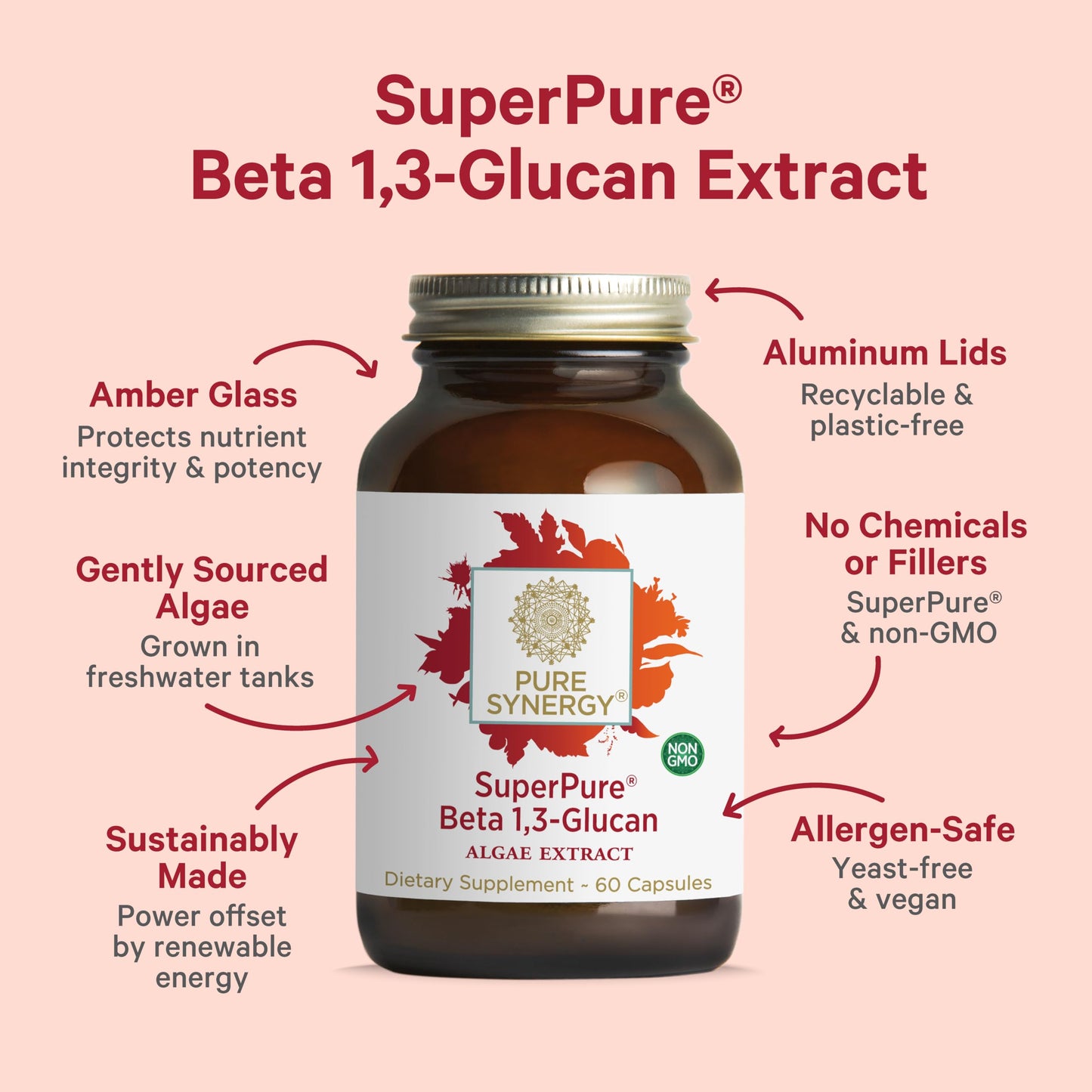 PURE SYNERGY SuperPure Beta 1,3-Glucan Extract – 500 mg, Algae-Based Immune & Digestive Support (60 Capsules)