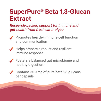 PURE SYNERGY SuperPure Beta 1,3-Glucan Extract – 500 mg, Algae-Based Immune & Digestive Support (60 Capsules)