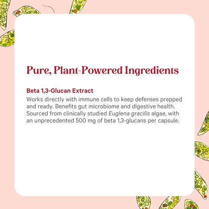PURE SYNERGY SuperPure Beta 1,3-Glucan Extract – 500 mg, Algae-Based Immune & Digestive Support (60 Capsules)