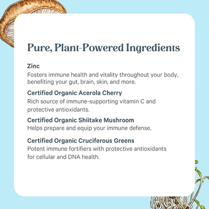 Pure Synergy Zinc Complex – Immune Support, Vegan Zinc with Vitamin C (60 Capsules)