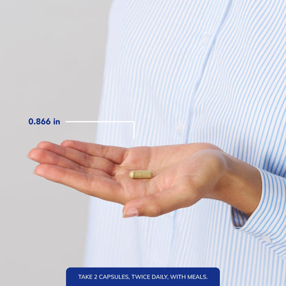 PureDefense with NAC | Pure Encapsulations | Immune & Respiratory Support | 20 Capsules