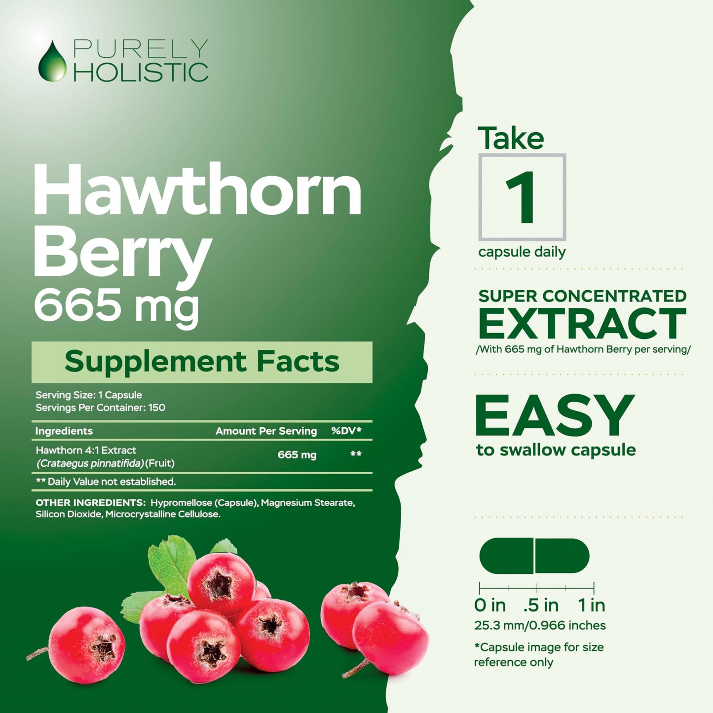 Purely Holistic Hawthorn Berry - 150 Vegan Capsules | 5 Month Supply | High Strength 4:1 Extract | Non-GMO