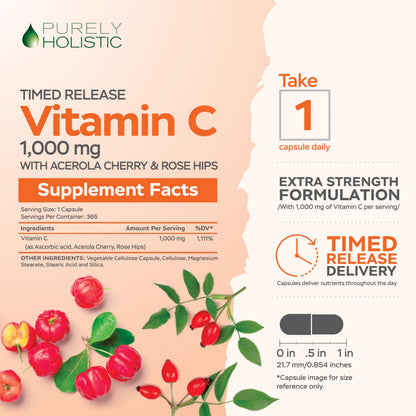 Purely Holistic Vitamin C 1000mg Timed Release | 365 Capsules, 12-Month Supply | Vegan