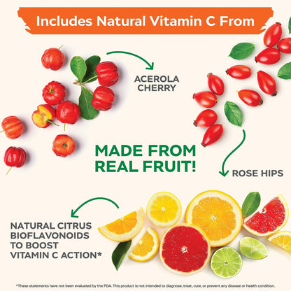 Purely Holistic Vitamin C 1000mg Timed Release | 365 Capsules, 12-Month Supply | Vegan