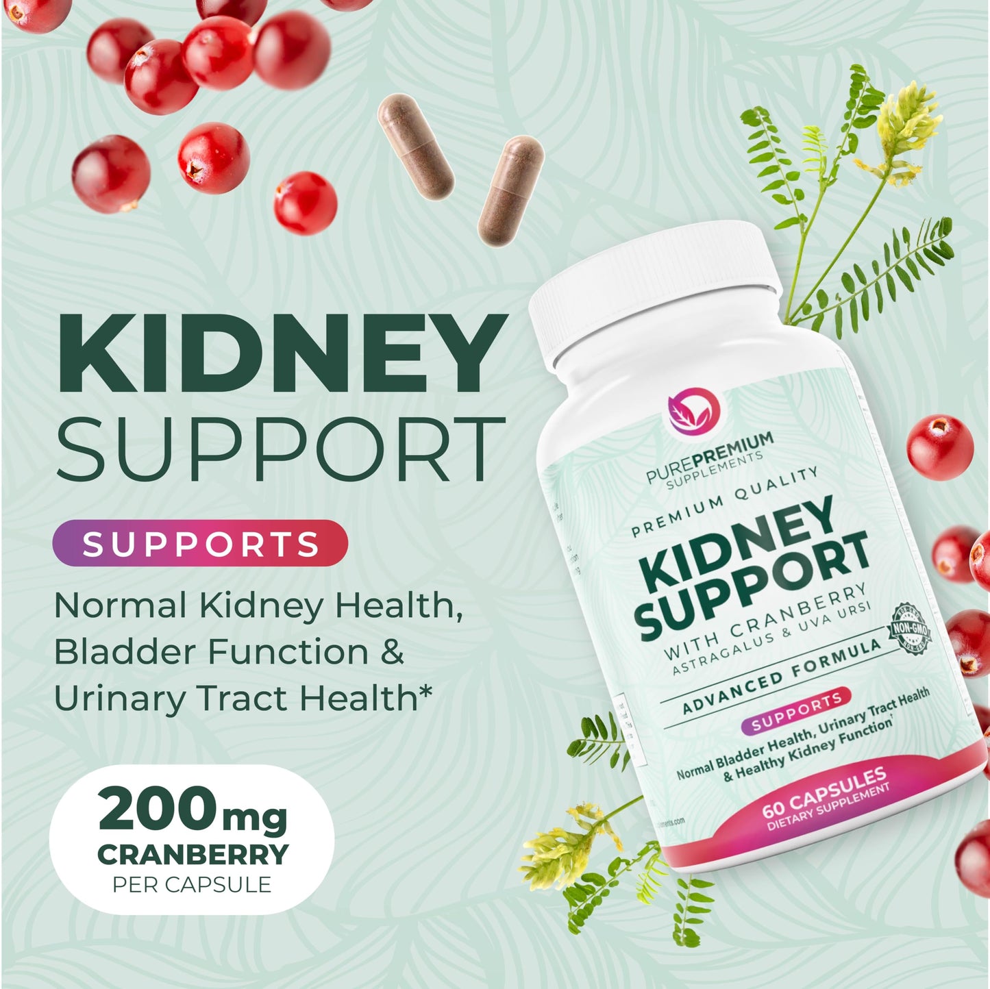 PurePremium Kidney Support – Cranberry & Astragalus (21-in-1)