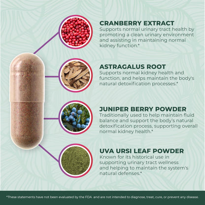 PurePremium Kidney Support – Cranberry & Astragalus (21-in-1)