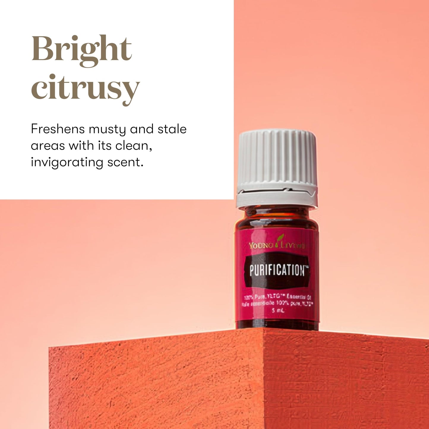 Purification Essential Oil 15ml by Young Living – Fresh Citrus & Herbal Blend