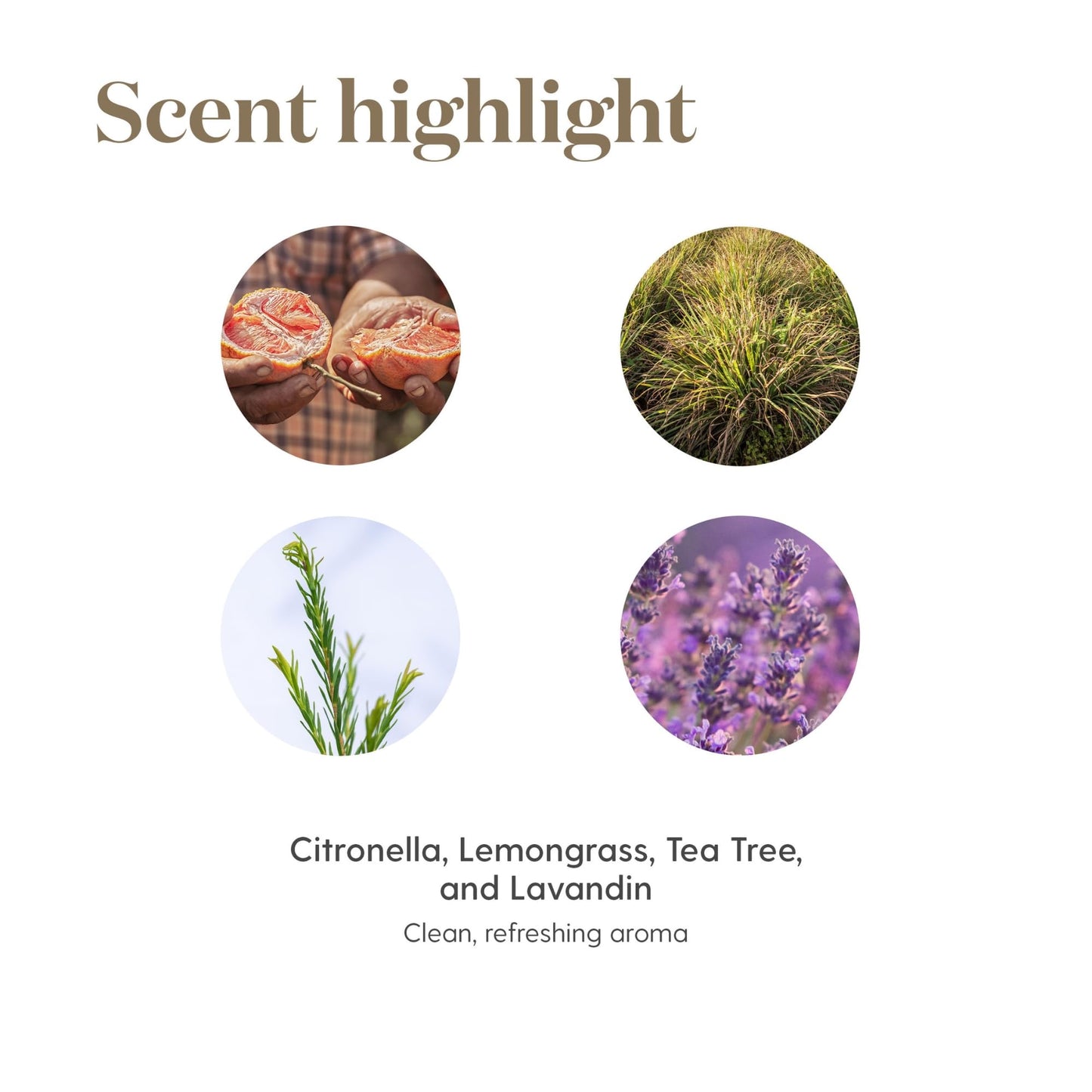 Purification Essential Oil 15ml by Young Living – Fresh Citrus & Herbal Blend