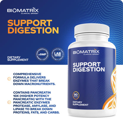 Digestive Enzymes Supplement (90 Caps) – Purified Bile, Pancreatin & Betaine HCl