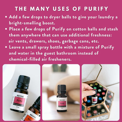 Purify Essential Oil Blend 30 mL | Revive Essential Oils – 100% Pure Therapeutic Grade