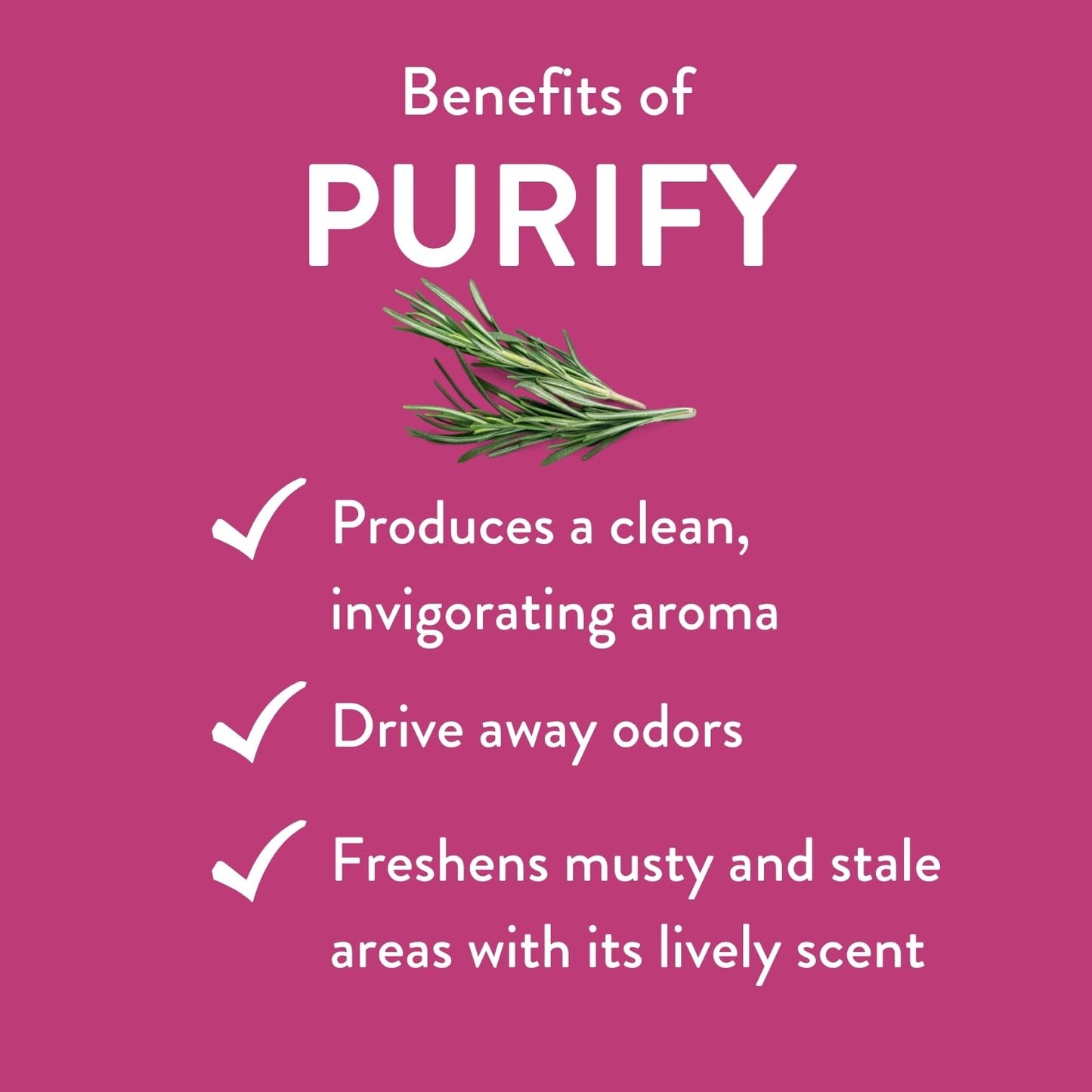 Purify Essential Oil Blend by Revive Essential Oils | Therapeutic Grade