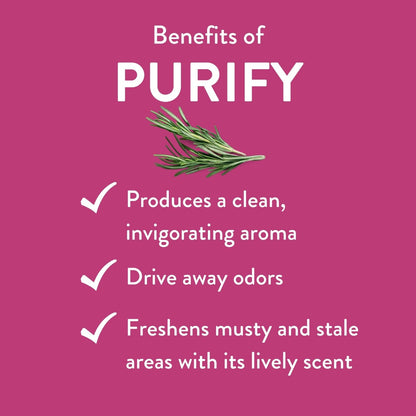 Purify Essential Oil Blend by Revive Essential Oils | Therapeutic Grade