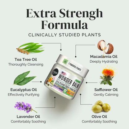 Puriya Tea Tree Oil Balm Extra Strength – Fast-Acting Plant-Powered Skin Relief