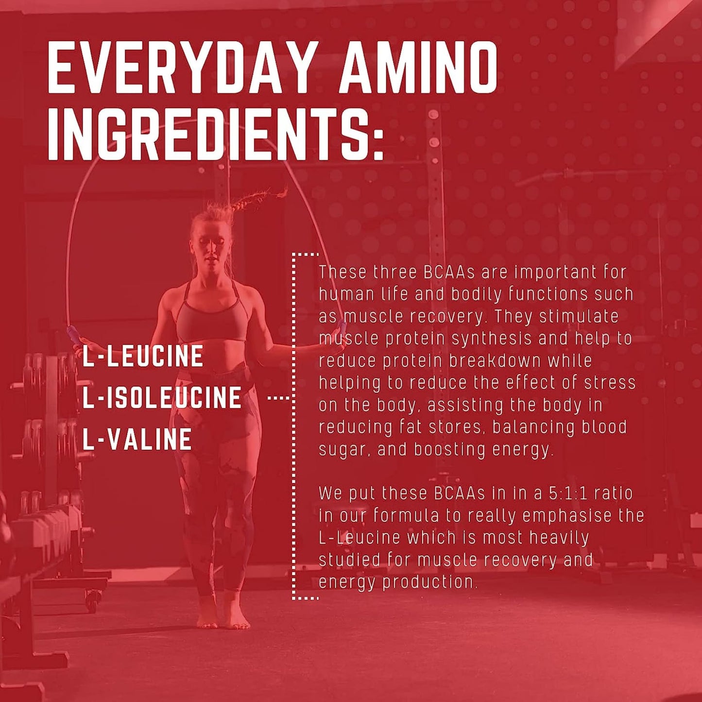 Purus Labs Everyday Amino BCAA Powder – Muscle Hydration & Recovery | Sugar Free & Gluten Free | 30 Servings (BlackBerry Cherry)
