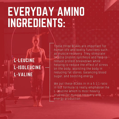 Purus Labs Everyday Amino BCAA Powder – Muscle Hydration & Recovery | Sugar Free & Gluten Free | 30 Servings (BlackBerry Cherry)