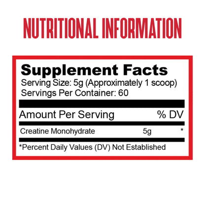 Purus Labs Foundation Series Creatine Powder | 100% Ultra Pure Micronized Creatine Monohydrate | Strength, Mass, Power, Recovery | 30 Servings (Unflavored)