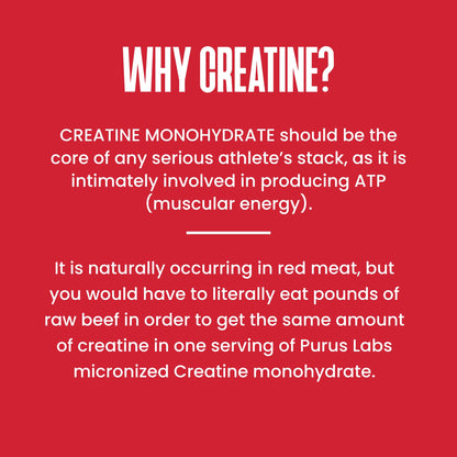 Purus Labs Foundation Series Creatine Powder | 100% Ultra Pure Micronized Creatine Monohydrate | Strength, Mass, Power, Recovery | 30 Servings (Unflavored)