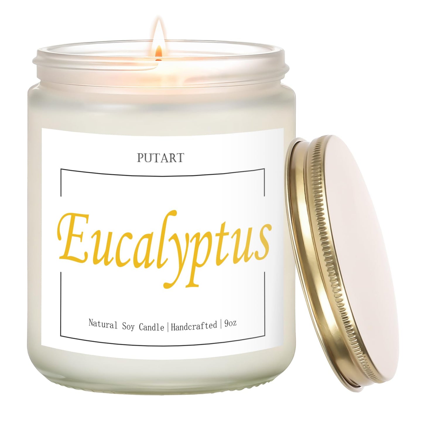 Putart Eucalyptus Mint 9oz Soy Candle | Non-Toxic, Long-Lasting