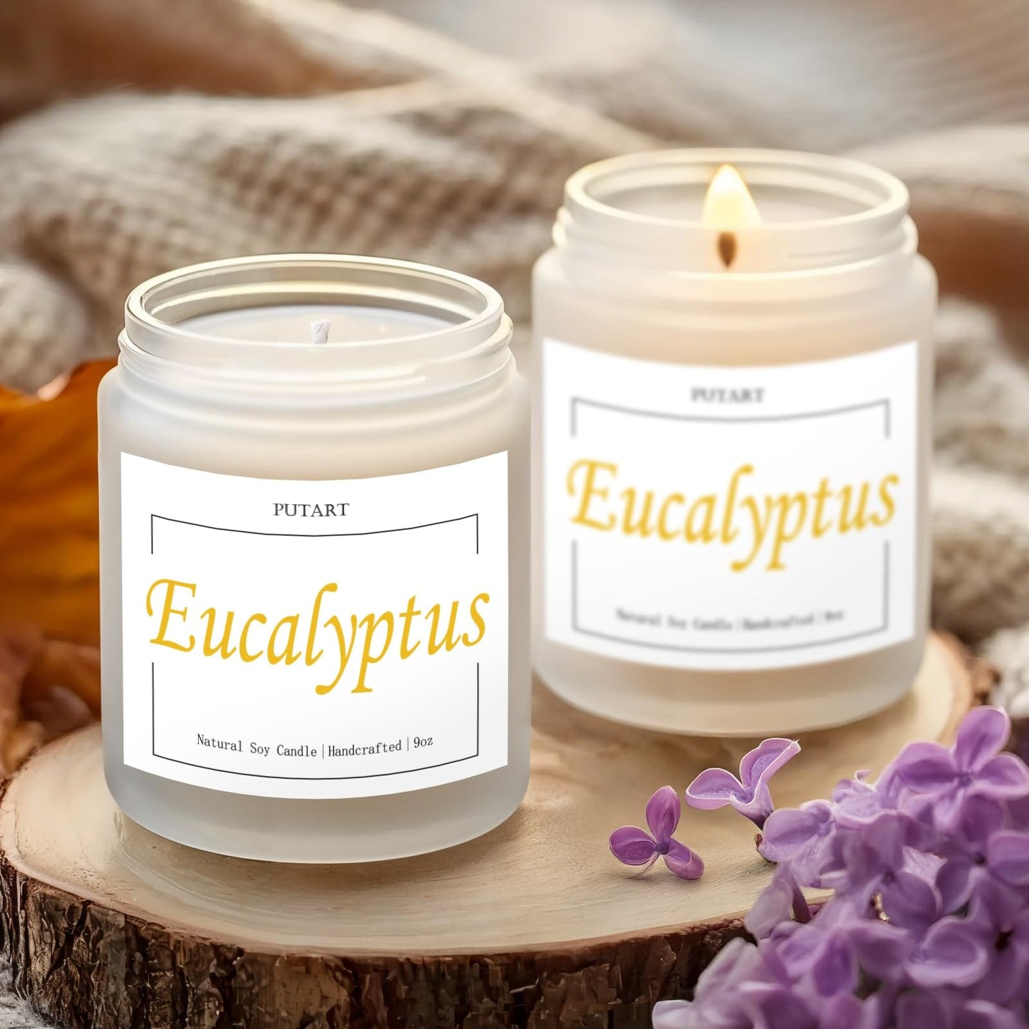 Putart Eucalyptus Mint 9oz Soy Candle | Non-Toxic, Long-Lasting
