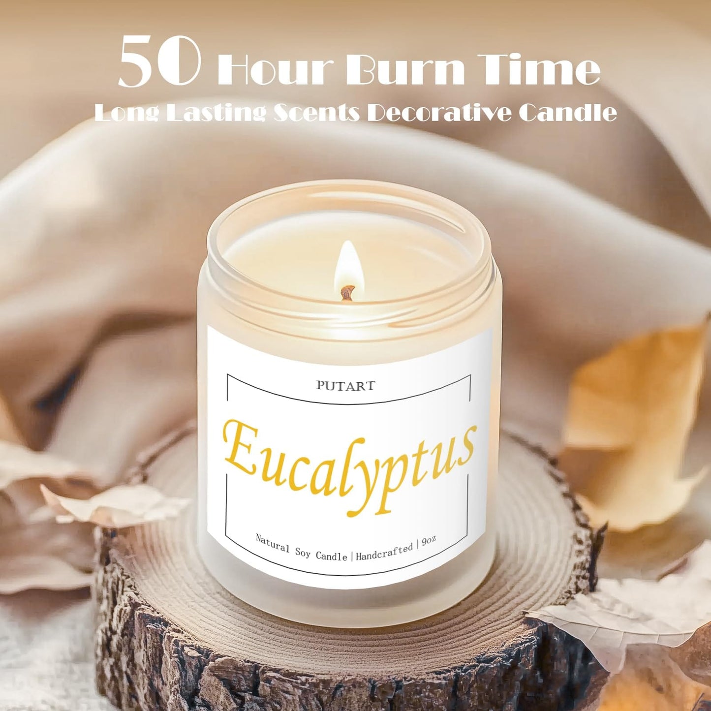 Putart Eucalyptus Mint 9oz Soy Candle | Non-Toxic, Long-Lasting