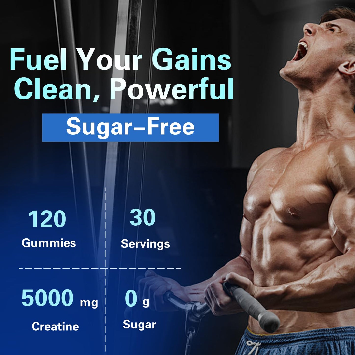 PWERD 120-Count Creatine Monohydrate Gummies 5g – Blueberry, Vegan & Sugar-Free