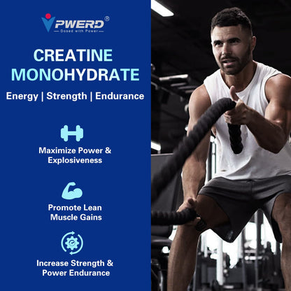 PWERD 120-Count Creatine Monohydrate Gummies 5g – Blueberry, Vegan & Sugar-Free