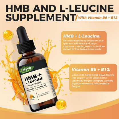 Q'ankyaq Leucine HMB Liquid Drops – Sugar Free, Vegan, 2 Fl Oz | L-Leucine HMB for Muscle Support & Recovery