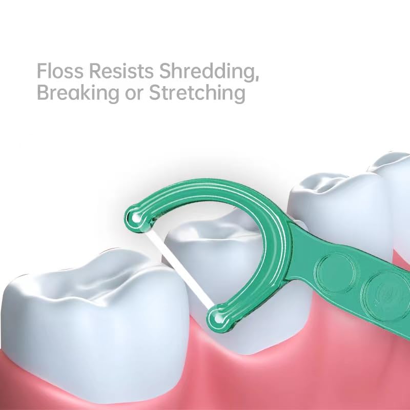 QIERMEI Professional Dental FlossPicks Box Pack 50/150/300 Counts
