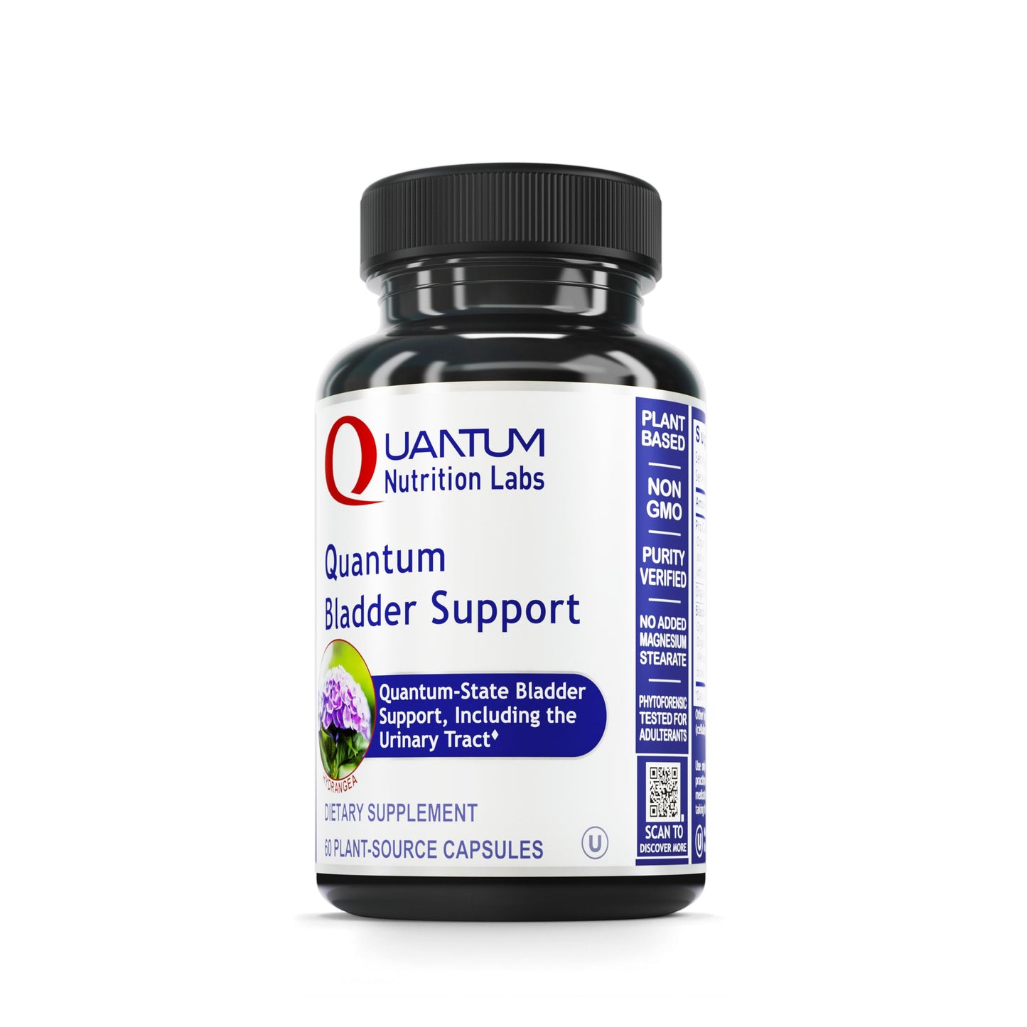QNL Quantum Bladder Support - Cranberry Capsules for Urinary Tract Health | 60 Plant-Source Capsules