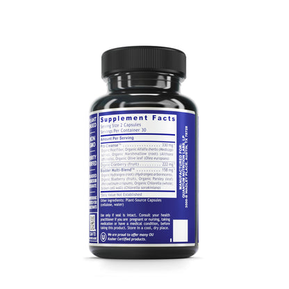 QNL Quantum Bladder Support - Cranberry Capsules for Urinary Tract Health | 60 Plant-Source Capsules