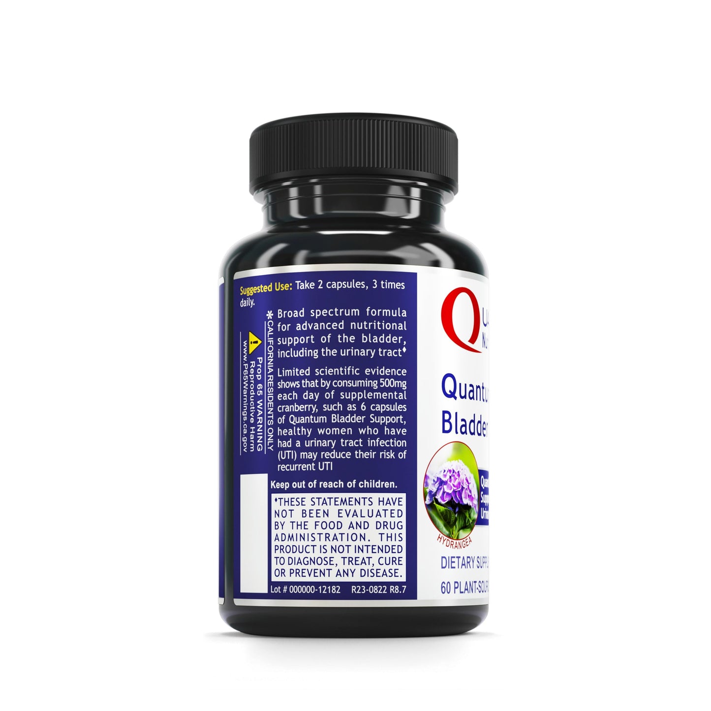 QNL Quantum Bladder Support - Cranberry Capsules for Urinary Tract Health | 60 Plant-Source Capsules