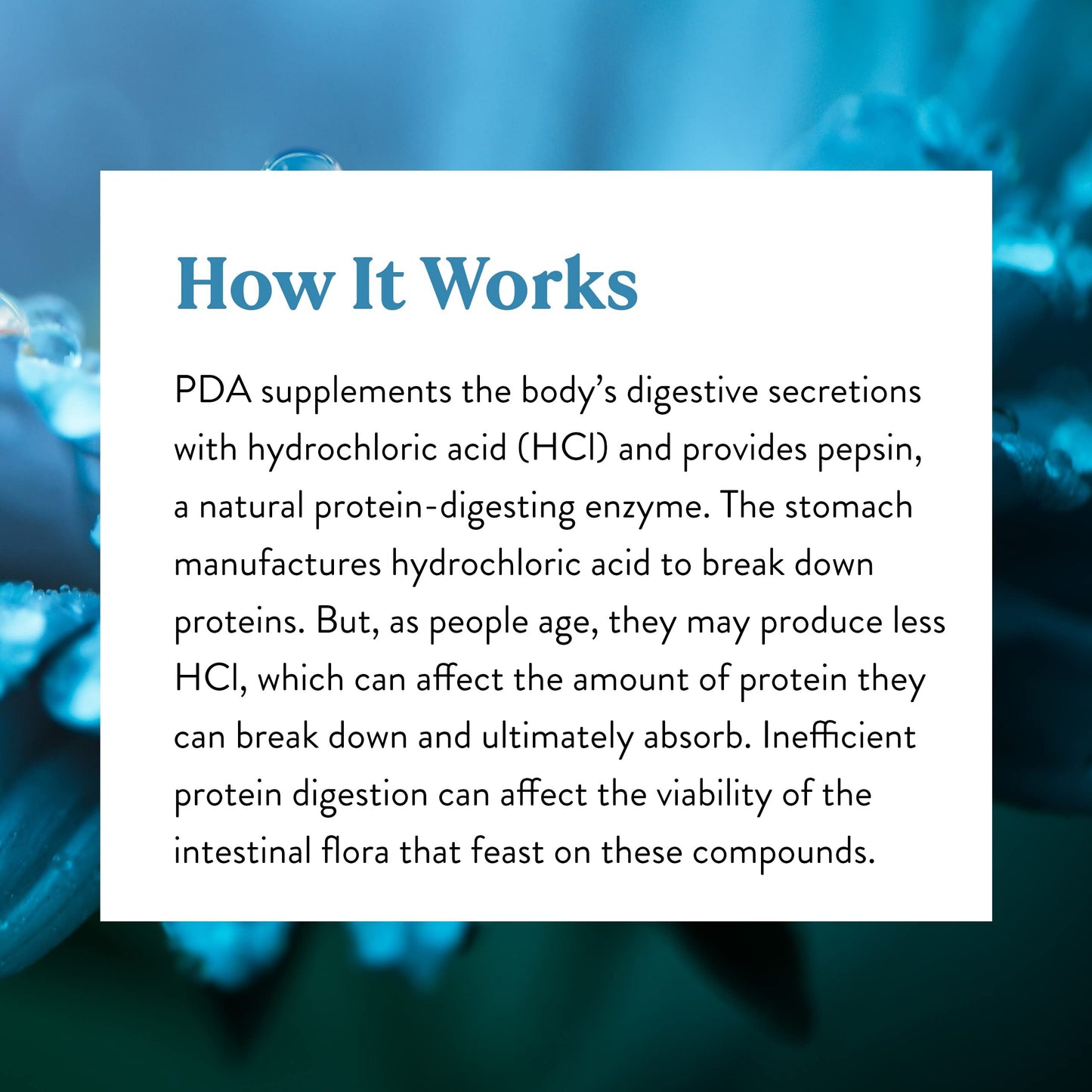 Nature's Sunshine PDA Combination 180 Caps - HCl & Pepsin Digestive Support