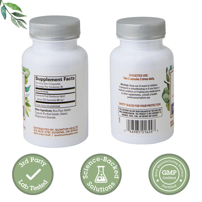 Quantum Health Black Elderberry Supplement – Sambucus Nigra Extract 400mg | Immune Support, 60 Capsules