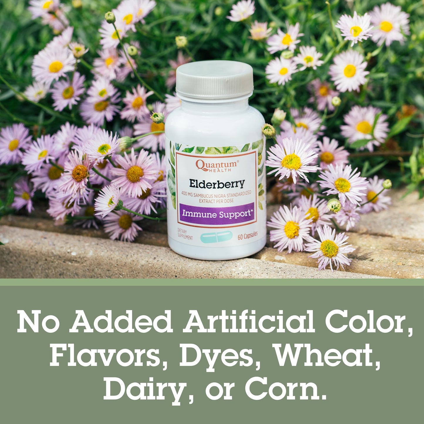 Quantum Health Black Elderberry Supplement – Sambucus Nigra Extract 400mg | Immune Support, 60 Capsules